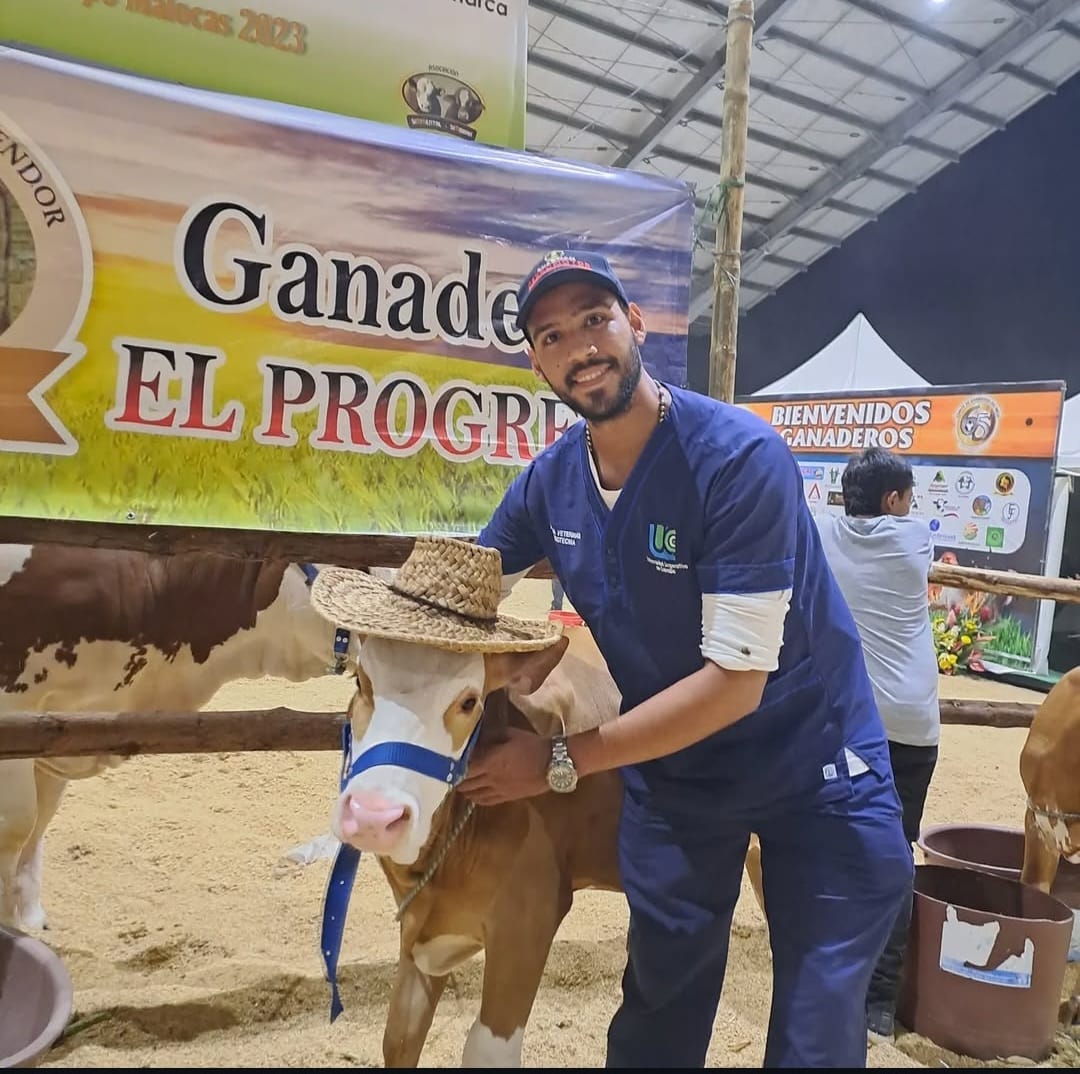 Imagen veterinaria 6